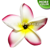 FSH182-Pearl Artificial Foam Flowers, Plumeria Type JO with Pearl, size 3.5 inches