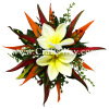 CML-048 Foam Plumeria (N), Silk Bird of Paradise & Silk Heliconia Hair Clip, Custom Made Flower Hairpiece, Hairpiece Made in Hawaii, Hair Accessories for Hawaiian Wedding Items, Hula Dancer