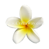 FSH199-2 Artificial Foam Plumeria Flowers (Type QI), available in size 2.5 inches