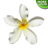 FSH199-3 Hawaiian Artificial Foam Flower Plumeria Type QO | CraftsWay.com