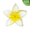 FSH199-5 Hawaiian Artificial Foam Flower Plumeria Type RA Size 3 inches | CraftsWay.com