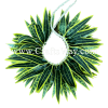 HB10-14 Braided Smooth Silk Leaves Hairband approximately 7 inches plus ties Silk Leaves Hairband